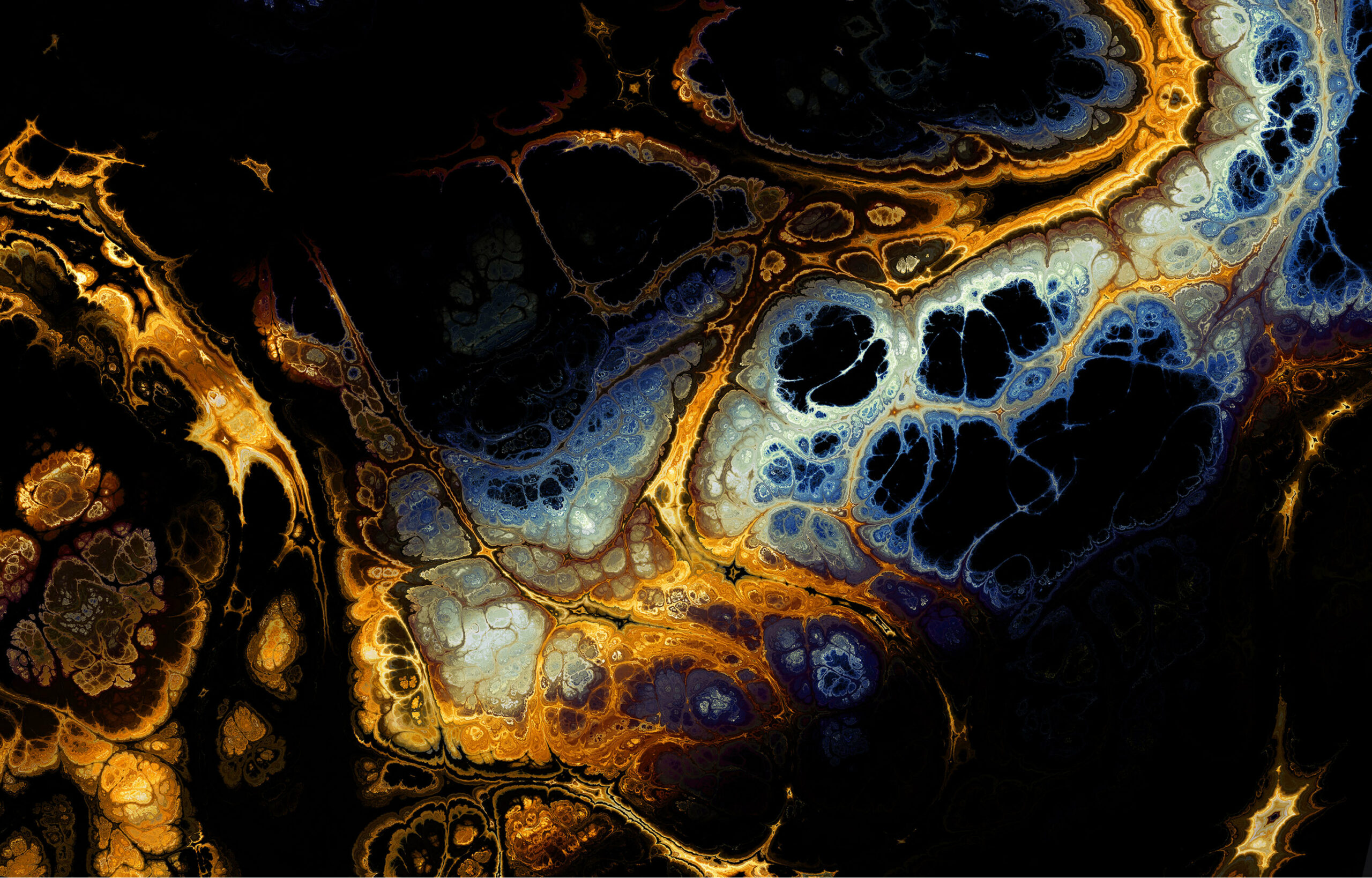 BIO Ethical HCT/P Manufacturing